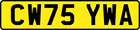 CW75YWA
