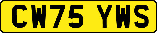 CW75YWS