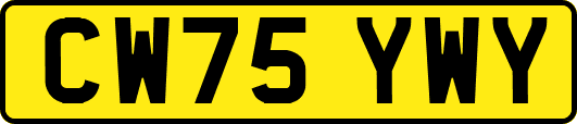 CW75YWY