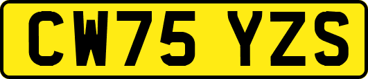 CW75YZS