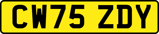 CW75ZDY