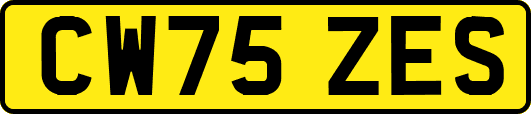 CW75ZES
