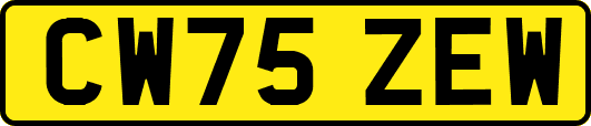 CW75ZEW