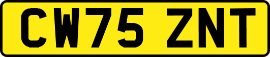CW75ZNT
