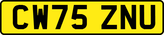 CW75ZNU