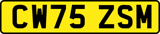 CW75ZSM