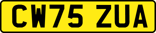 CW75ZUA