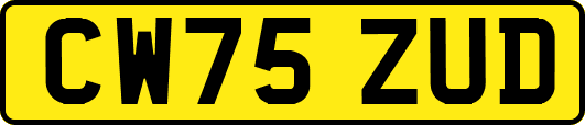 CW75ZUD