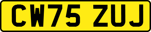 CW75ZUJ
