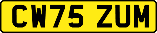 CW75ZUM