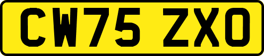 CW75ZXO