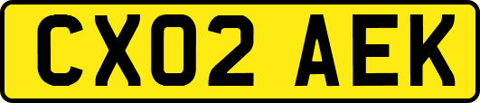 CX02AEK