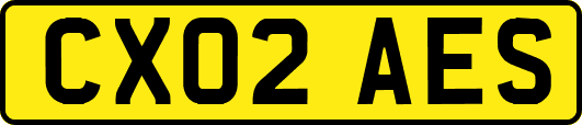 CX02AES