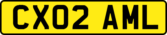 CX02AML