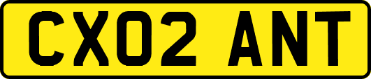CX02ANT