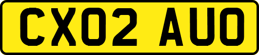 CX02AUO