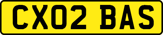 CX02BAS