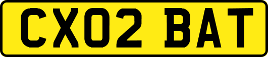 CX02BAT