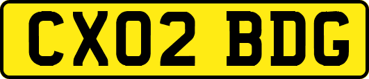 CX02BDG
