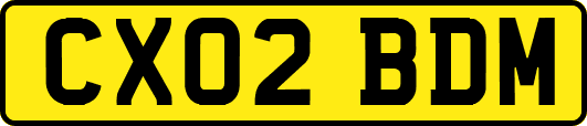 CX02BDM