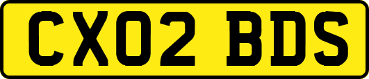 CX02BDS