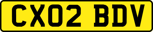 CX02BDV