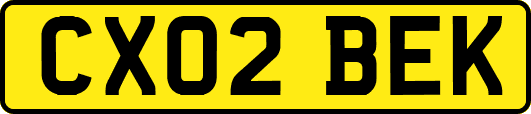 CX02BEK