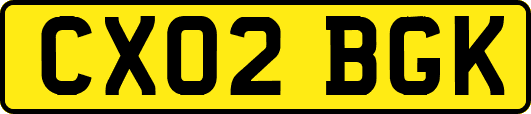 CX02BGK