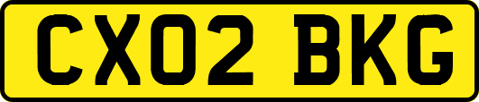 CX02BKG
