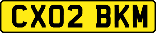 CX02BKM