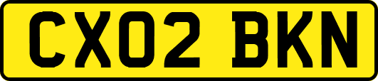 CX02BKN