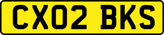 CX02BKS