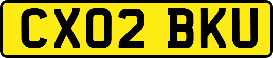 CX02BKU
