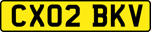 CX02BKV