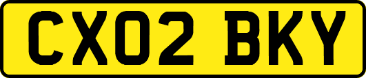 CX02BKY