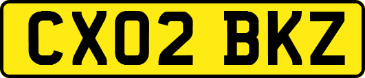 CX02BKZ