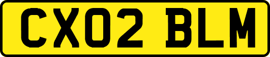 CX02BLM