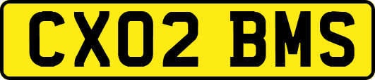 CX02BMS