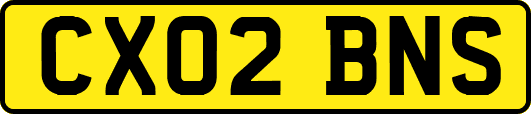 CX02BNS