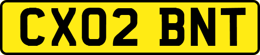 CX02BNT
