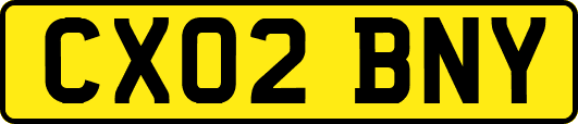 CX02BNY