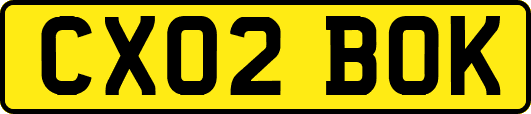 CX02BOK