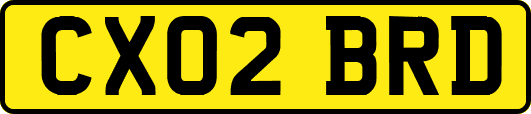 CX02BRD
