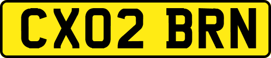 CX02BRN
