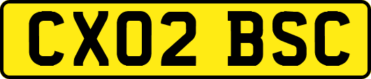 CX02BSC