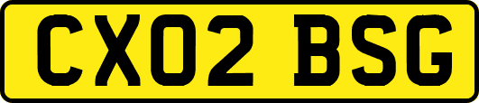 CX02BSG