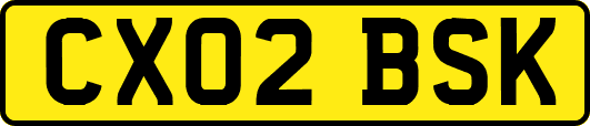 CX02BSK