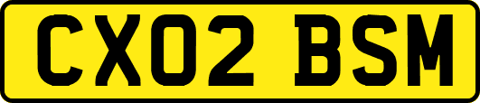 CX02BSM