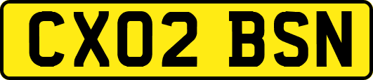 CX02BSN