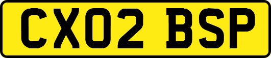CX02BSP